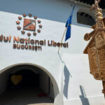 pnl bucuresti si a numit liderii interimari in patru sectoare oana gheorghiu si dragos pislaru printre noii presedinti 6a883a02a31f8