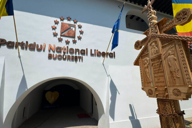 pnl bucuresti si a numit liderii interimari in patru sectoare oana gheorghiu si dragos pislaru printre noii presedinti 6a883a02a31f8