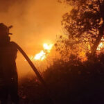 pompierii romani au intervenit la un incendiu de vegetatie si fond forestier din regiunea attica din grecia 6a6ef5407d0e0