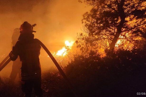 pompierii romani au intervenit la un incendiu de vegetatie si fond forestier din regiunea attica din grecia 6a6ef5407d0e0