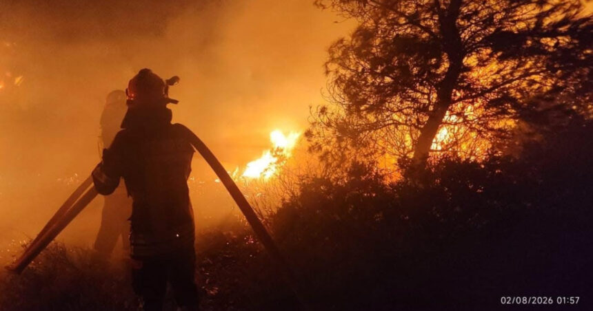 pompierii romani au intervenit la un incendiu de vegetatie si fond forestier din regiunea attica din grecia 6a6ef5407d0e0