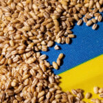 portul constanta esential in exportul cerealelor ucrainene kievul vrea coridor prin republica moldova reuters 6a7ae7daeba75