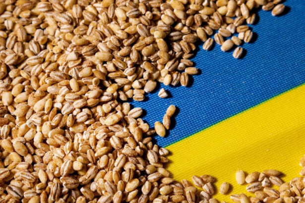 portul constanta esential in exportul cerealelor ucrainene kievul vrea coridor prin republica moldova reuters 6a7ae7daeba75