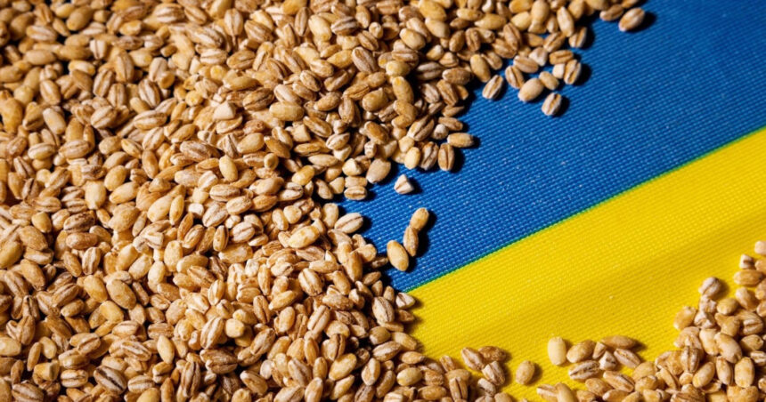 portul constanta esential in exportul cerealelor ucrainene kievul vrea coridor prin republica moldova reuters 6a7ae7daeba75