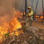 precizari mae in urma incendiilor din grecia am fost notificati cu privire la existenta unor romani printre persoanele afectate 6a7f1115a0714