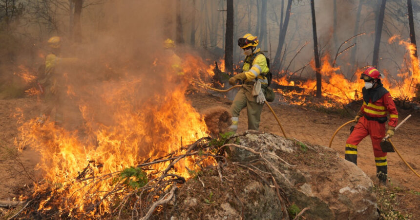 precizari mae in urma incendiilor din grecia am fost notificati cu privire la existenta unor romani printre persoanele afectate 6a7f1115a0714
