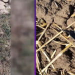 purtatorul de cuvant al nato despre drona doborata in judetul galati pare sa fie ruseasca 6a818d6a5714e
