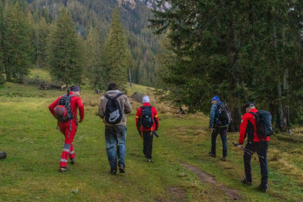 salvamontistii din sibiu au intervenit pentru a salva un parapantist blocat intr un copac in muntii fagaras 6a6f93762600c