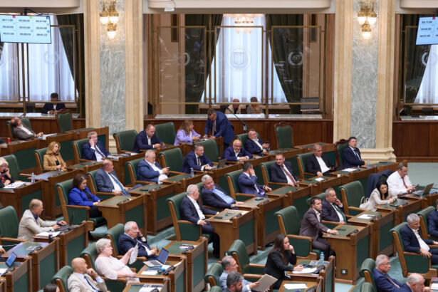 senatul a aprobat acordul de imprumut cu bird banii vor fi folositi pentru finantarea deficitului si refinantarea datoriei publice 6a7461f4a0687