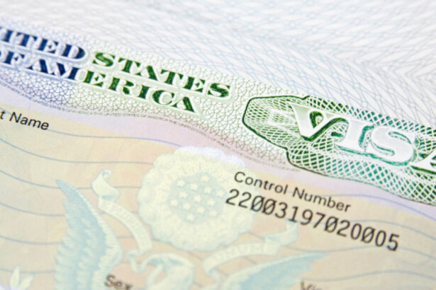 sua suspenda procesarea tuturor cererilor de vize de imigrare interviurile deja programate au fost anulate 6a8e8b332e263
