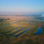 sute de hectare din constanta si tulcea scoase la concesiune de agentia domeniilor statului 6a8628858ee57
