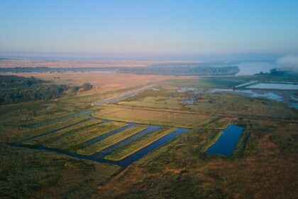sute de hectare din constanta si tulcea scoase la concesiune de agentia domeniilor statului 6a8628858ee57