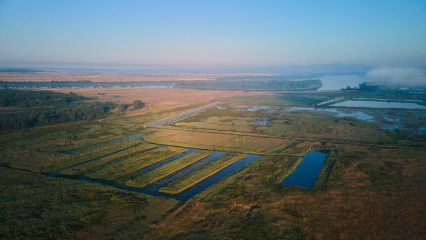 sute de hectare din constanta si tulcea scoase la concesiune de agentia domeniilor statului 6a8628858ee57