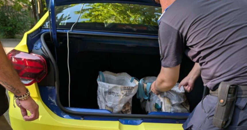 taximetrist din bucuresti prins in timp ce vindea materiale pirotehnice suporterilor israelieni pentru meciul de la ploiesti 6a73960a3a3b5