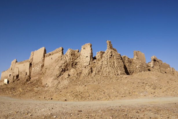 un cimitir de rechini preistorici descoperit in desertul egiptului sapte specii au fost identificate 6a89f4fa90924