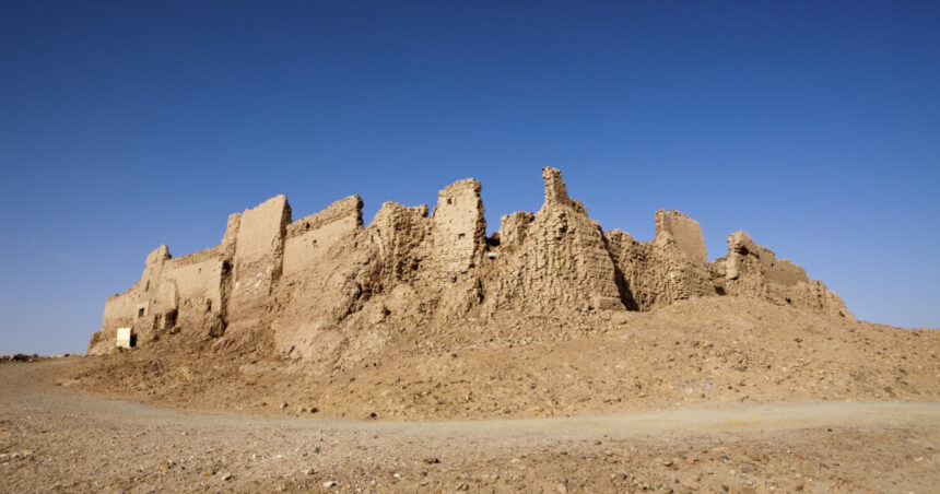 un cimitir de rechini preistorici descoperit in desertul egiptului sapte specii au fost identificate 6a89f4fa90924