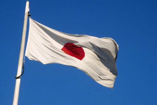 un condamnat la moarte a fost executat in japonia pentru incendierea unui salon de pachinko cinci oameni au murit 6a87ecaa5b32e