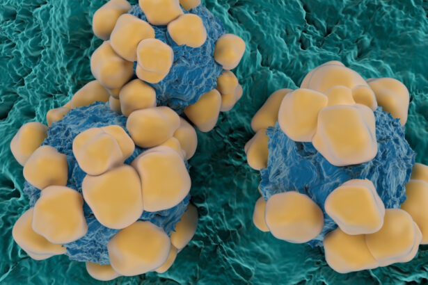 un ingredient activ din viagra ar putea limita raspandirea cancerului studiu 6a7186b172bf2
