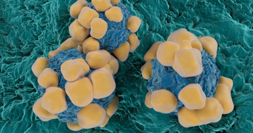 un ingredient activ din viagra ar putea limita raspandirea cancerului studiu 6a7186b172bf2