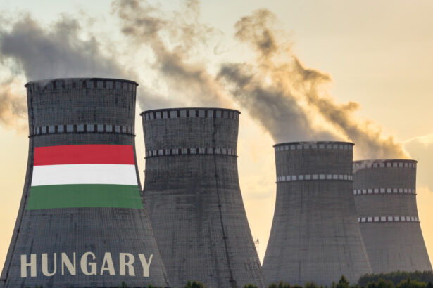 ungaria reconecteaza o turbina a centralei nucleare de la paks cu cat a crescut nivelul dunarii 6a79d5a0cbdd4