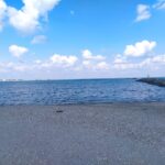 update alerta pe mare intre tuzla si costinesti misterul caiacului plutitor a fost elucidat 6a759fc4816b5