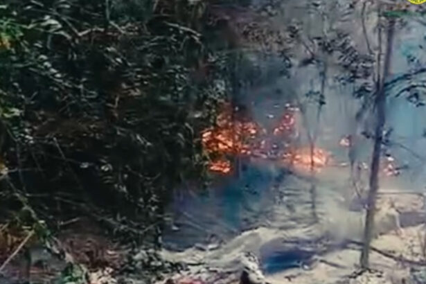 video armata cauta resturi de drona dupa incendiul de padure de la plauru specialistii mapn cerceteaza zona 6a8feac28d6a3