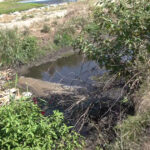 video bomba ecologica la marginea orasului apele uzate de la o statie de epurare din targu jiu ajung direct in rau localnicii cer masuri 6a79a7ed932b2