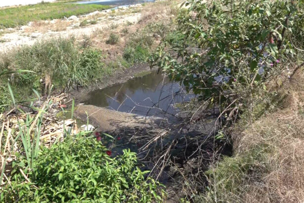 video bomba ecologica la marginea orasului apele uzate de la o statie de epurare din targu jiu ajung direct in rau localnicii cer masuri 6a79a7ed932b2