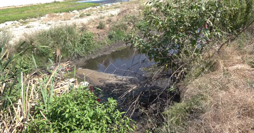 video bomba ecologica la marginea orasului apele uzate de la o statie de epurare din targu jiu ajung direct in rau localnicii cer masuri 6a79a7ed932b2