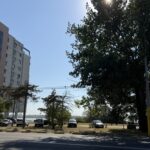 video cine este afacerista care vrea sa ridice un bloc cu 7 etaje in mamaia peste drum de hotelul iaki 6a87929e6d8cc