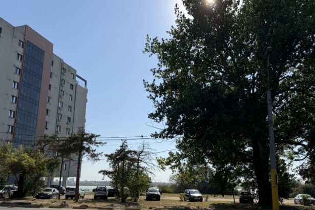 video cine este afacerista care vrea sa ridice un bloc cu 7 etaje in mamaia peste drum de hotelul iaki 6a87929e6d8cc