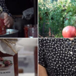 video dulceata de rosii cu nuci si lamaie noul desert de sezon cu iz italian cum se prepara deliciul care face furori printre gospodine 6a8e680970f6c