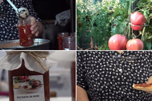 video dulceata de rosii cu nuci si lamaie noul desert de sezon cu iz italian cum se prepara deliciul care face furori printre gospodine 6a8e680970f6c