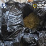 video grupare de trafic de droguri coordonata din penitenciar la constanta sase persoane au fost arestate preventiv 6a8af00228e7f
