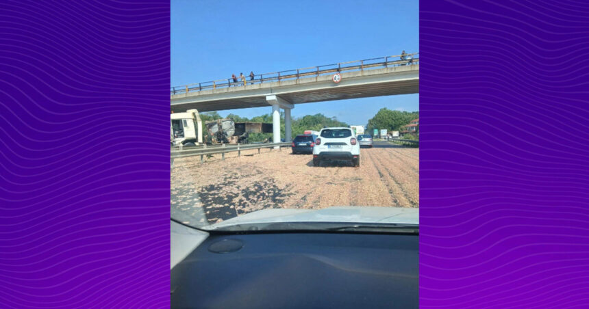 video haos pe a1 bucuresti pitesti un tir incarcat cu carne de pui a lovit un picior de pod iar marfa s a imprastiat pe sosea 6a7c4062123b1