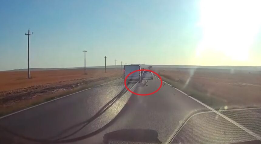 video imagini socante un copil a cazut dintr o masina aflata in mers in tulcea trecea un tir 6a7adb2d96fed