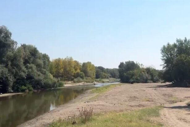 video in halul asta nu a fost niciodata situatie alarmanta pe raul jiu a atins cel mai mic nivel din ultimii 100 de ani 6a8af59f5b9c6