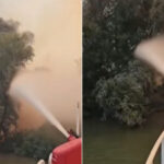 video incendiu puternic in delta dunarii raed arafat interventia pe apa este esentiala focul ameninta fondul forestier 6a83530502789