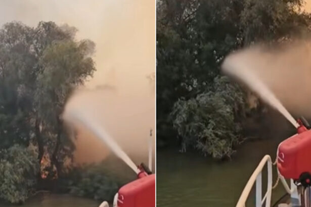video incendiu puternic in delta dunarii raed arafat interventia pe apa este esentiala focul ameninta fondul forestier 6a83530502789