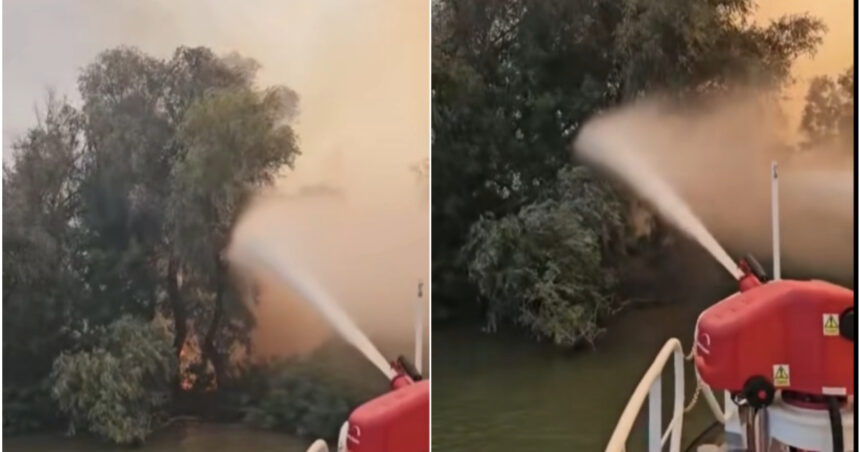video incendiu puternic in delta dunarii raed arafat interventia pe apa este esentiala focul ameninta fondul forestier 6a83530502789