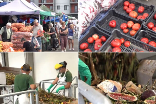 video orasul care transforma resturile alimentare in curent electric deseurile organice sunt colectate direct din piete devin o resursa 6a8fd5aac14f5