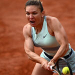 video simona halep inspira cel mai iute ardei romanesc povestea soiului care ajunge la congresul de horticultura din japonia 6a8c4aa1e9edd
