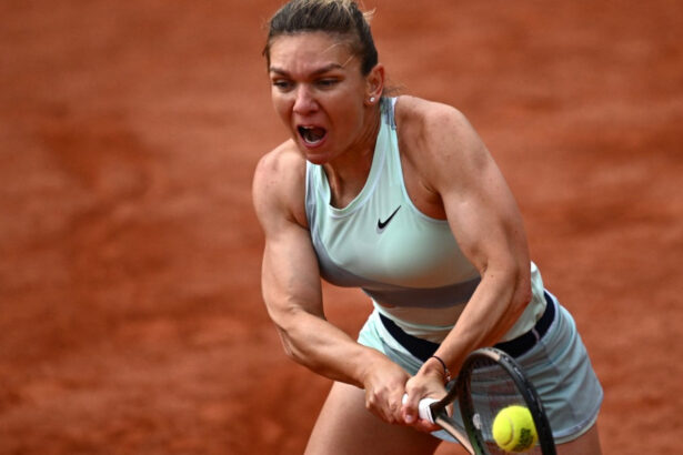 video simona halep inspira cel mai iute ardei romanesc povestea soiului care ajunge la congresul de horticultura din japonia 6a8c4aa1e9edd