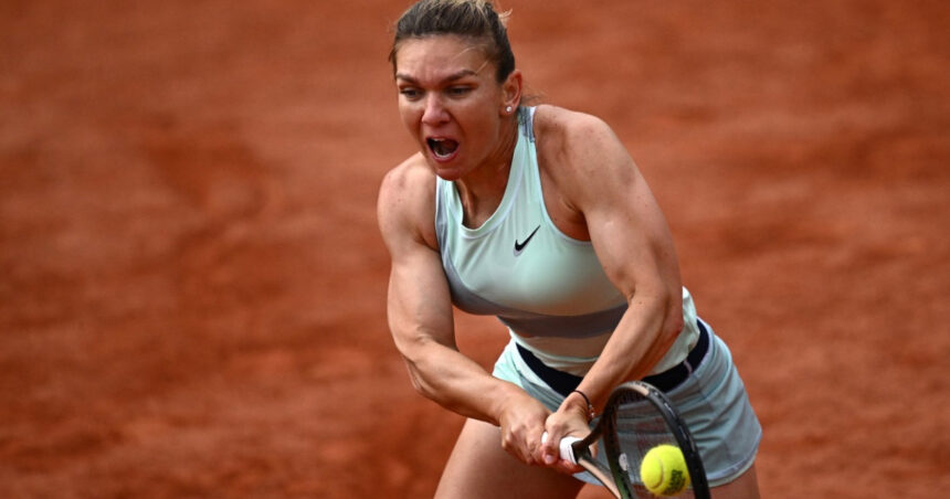 video simona halep inspira cel mai iute ardei romanesc povestea soiului care ajunge la congresul de horticultura din japonia 6a8c4aa1e9edd