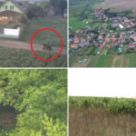 video ziua si ro alert ul in harghita din cauza ursilor oamenii au ajuns la capatul rabdarii ca primar n ar trebui sa alerg dupa urs 6a926e1f2fbd1