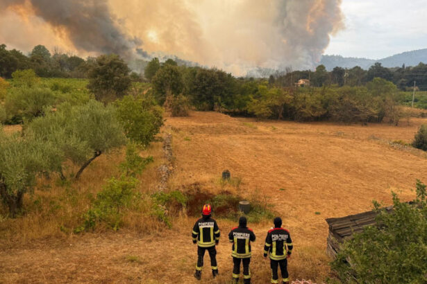 videofoto pompierii romani au revenit din franta dupa lupta cu incendiile de padure copiii le au oferit desene si mesaje de multumire 6a71a2cec5cfa