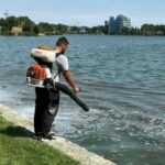 actiuni de delarvizare si dezinsectie in constanta si mamaia 6aab89158fc0d