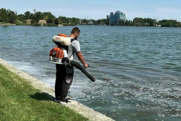actiuni de delarvizare si dezinsectie in constanta si mamaia 6aab89158fc0d