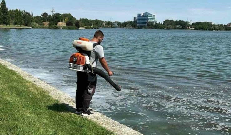 actiuni de delarvizare si dezinsectie in constanta si mamaia 6aab89158fc0d