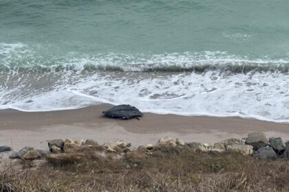 alerta la constanta doua drone au fost gasite la corbu si capu midia 6aa295d3264ca